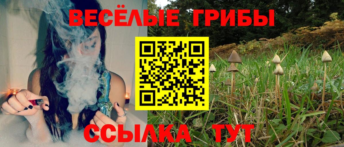 Богородицк  Псилоцибиновые грибы MAGIC MUSHROOMS  Вход с VPN 