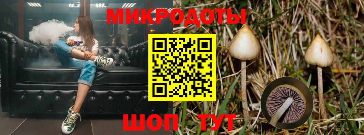 Галлюциногенные грибы мицелий Богородицк